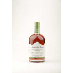 Cognac Pic Orizaba