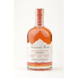 Cognac Pic Orizaba
